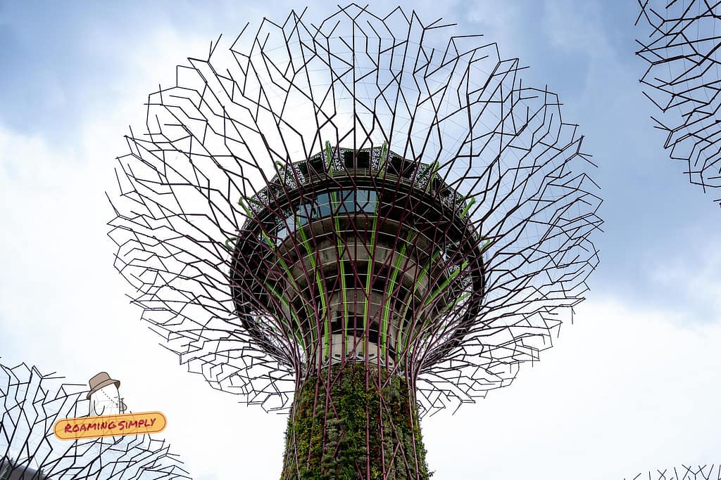 Low-angle view looking up at the Supertree Observatory at Gardens by the Bay in Singapore, featuring a circular glass observation deck nestled within its wire canopy.
