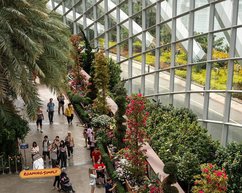 Interior view of the Flower Dome at Gardens by the Bay in Singapore, showing visitors walking along a path lined with vibrant floral displays and palm trees under a massive glass ceiling.