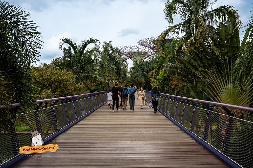 Visitors walking across a wooden pedestrian bridge surrounded by lush tropical greenery, leading towards the Supertree Grove and multiple themed outdoor gardens at Gardens by the Bay, Singapore.