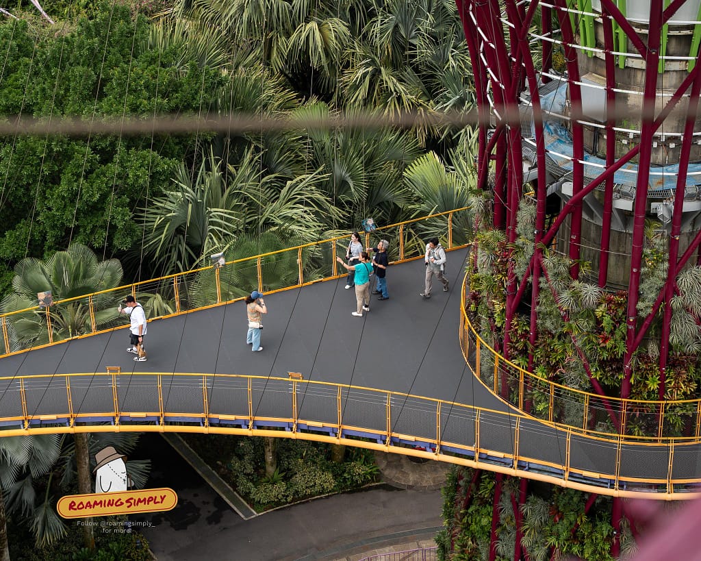 Visitors walking along the elevated OCBC Skyway, a suspended bridge connecting the lush, plant-covered Supertrees at Gardens by the Bay in Singapore.