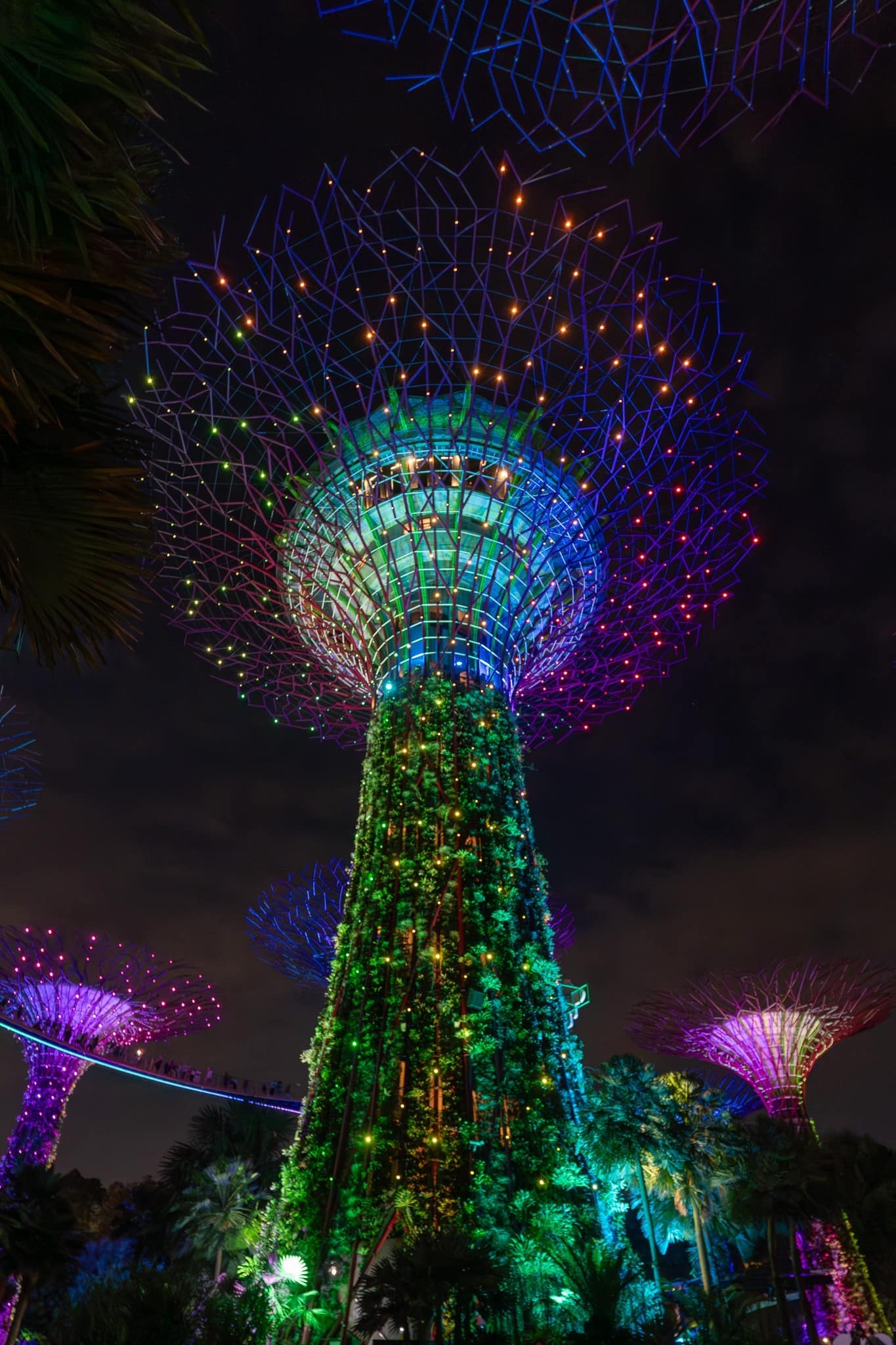 Super Tree at Gardens by the bay